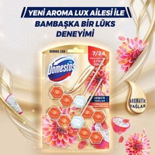 Domestos Tuvalet Bloğu Aroma Lux Yıldız Çiçeği & Ejder Meyvesi 100 G + Hibiskus & Kırmızı Meyveler