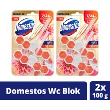 Domestos Tuvalet Bloğu Aroma Lux Yıldız Çiçeği & Ejder Meyvesi 100 G X2