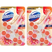 Domestos Tuvalet Bloğu Aroma Lux Yıldız Çiçeği & Ejder Meyvesi 100 G X2