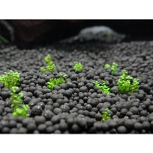 Badem Akvaryum Bitki Kumu Gübre Katkılı Yuvarlak Kum Siyah 8 kg