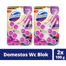 Domestos Tuvalet Bloğu Aroma Lux Hibiskus & Kırmızı Meyveler 100 G X2