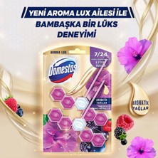 Domestos Tuvalet Bloğu Aroma Lux Hibiskus & Kırmızı Meyveler 100 G X2