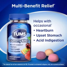 Tums Gummy Bites Assorted Fruit 50 Gummies