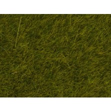 Noch 7090 Yabani Otlar, Çayır Yeşili, 6 Mm, 100 Gram Diorama Malzemesi