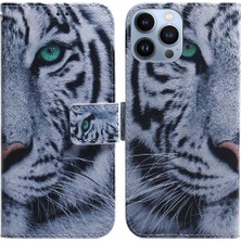Bdt Shop Apple iPhone 14 Pro Max Telefon Kılıfı (Yurt Dışından)