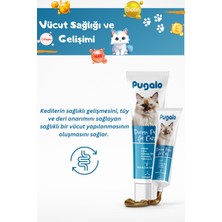 Pugalo Kedi Derma Paste