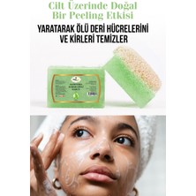 Tubalife Aloe Vera Kabak Lifli Sabun 100GR