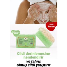 Tubalife Aloe Vera Kabak Lifli Sabun 100GR