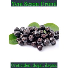 Doğal Köylü Taze Aronya Meyvesi 1kg Aronia - Üreticiden, Doğal, Ilaçsız