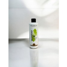 IV San Bernard  Green Apple Shampoo