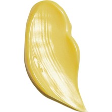 Işlem Görmüş Saçlar Için Maske