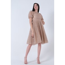 Feminist Gold Midi Boy Kısa Yuvarlak Yaka Simli Tül Abiye Elbise 6502459.122