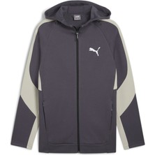 Puma Evostrıpe Full-Zip Dk Sweatshirt Gri 68170069 Erkek