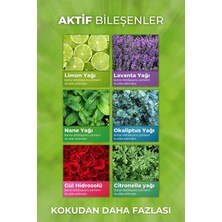 Auran 2/'li Sivrisinek & Kene Kovucu Bitkisel Sprey %100 Doğal Vücut Koruyucu Sprey 2x Set 100ML