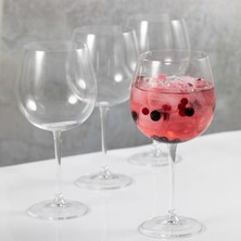 Mikasa 5234309 Julie 4lü 665ML Cin Kadehleri ​​seti