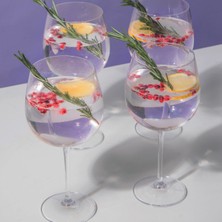 Mikasa 5234309 Julie 4lü 665ML Cin Kadehleri ​​seti