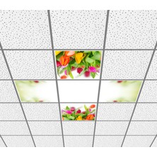 Gök Panel 60 x 60 LED Panel Aydınlatma Desenli 3x3 5'li Grup Özel Seri 46511429SA