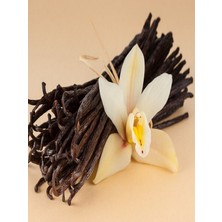 Olive Blossom Vanilya Esanslı & Himalaya Vücut Tuzu / Vanilla Essence & Himalayan Salt (500 Gr.)