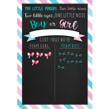 Bebek Cinsiyet Partisi Poster 33X48 10 Kurdele & 10 Fiyonk Stiker / Çerçevesiz