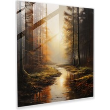 Painted Anarchy Gündoğumunda Sakin Puslu Orman Manzarasının Sakin Cam Baskısı - Modern Sanat Eseri, 30X30