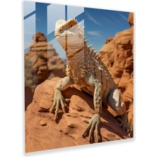 Painted Anarchy Çöl Kamuflajı Cam Baskı - Çöl, Gerçekçi, Çöl Kaya Oluşumu, Cam Sanatı, 30X30