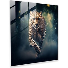 Painted Anarchy Çita Ev Dekorasyonu - Çita, Cam Duvar Sanatı, Rüya Gibi Atmosfer, Hayranlık, 30X30