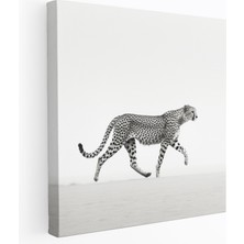 Painted Anarchy Çita Kanvas Tablo - Zarif Hareket - Çita, Duvar Tablosu, Ev Dekorasyonu, Çita Kanvas Tablo, 30X30