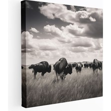 Painted Anarchy Buffalo Kanvas Tablo - Siyah Beyaz Fotoğraflı Duvar Tablosu - Buffalo, Kanvas Tablo, Nostaljik, Kanvas Tablo, 30X30