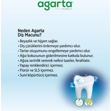 Agarta Doğal Diş Macunları(Misvak 100 ml + Propolis 100 Ml)