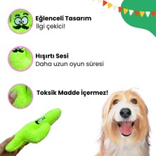 Havhav Meksika Temalı Köpek Oyuncağı Peluş Kaktüs Hışırtı Sesli Köpek Oyuncakları