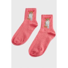 Hg.Aksesuar Ayıcık Kolej Çorap 8*28