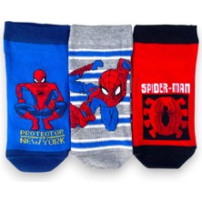 Çimpa Disney Lisanslı Spiderman Patik Çorap 3'lü Paket