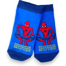 Çimpa Disney Lisanslı Spiderman Patik Çorap 3'lü Paket