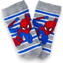 Çimpa Disney Lisanslı Spiderman Patik Çorap 3'lü Paket