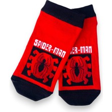 Çimpa Disney Lisanslı Spiderman Patik Çorap 3'lü Paket