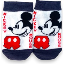 Çimpa 4'lü Disney Lisanslı Mickey Mouse Patik Çorap