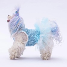 Pawstar Mavi Polka Dot Kedi Köpek Elbisesi