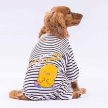 Pawstar Siyah Let Me Sleep Kedi Köpek Pijaması