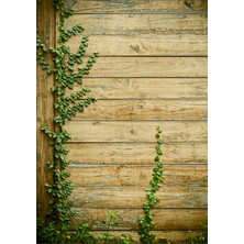 Fottofon Fotoğraf Çekim Fonu 70 x 100 cm