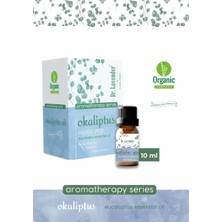 Dr. Lavender Okaliptus Uçucu Yağı Aromaterapi Serisi 10 ml Organik Yağ