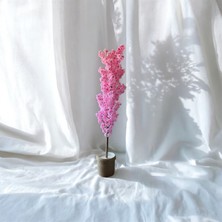 Özcan Flowers 30x30 Hasır Saksıda 190 Cm Pembe Bahardalı Yapay Ağaç