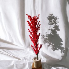 Özcan Flowers 30 x 30 cm Hasır Saksıda 170 cm Kırmızı Bahardalı Yapay Ağaç.