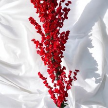 Özcan Flowers 30 x 30 cm Hasır Saksıda 170 cm Kırmızı Bahardalı Yapay Ağaç.