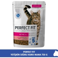 Perfect Fit Yetişkin Sığırlı Kuru Mama 750 gr