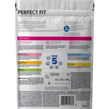 Perfect Fit Yetişkin Sığırlı Kuru Mama 750 gr