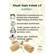 Antilop Ahşap Saplı, Özel Tasarım Kabak Lif, Doğal Peeling Etkili, Selülitleri Azaltmaya Yardımcı