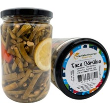 Memleket Gurmesi Taze Börülce Konservesi 570 gr