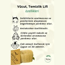 Antilop Çok Amaçlı  Doğal Kabak Lif Elips İkili set (2 adet)