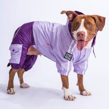 Pawstar Lila-Mor Bicolor Orta ve Büyük Irk Köpek Tulum Yağmurluğu Köpek Yağmurluk Köpek Kıyafeti