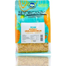 Beyorganik Organik Çimlendirmelik Buğday 500GR Mikroyeşillik